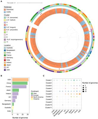 Genomic and functional diversity of the human-derived isolates of Faecalibacterium
